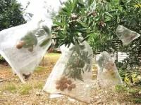 罰y潎峮鈧?碝Fnz鯇7绤Xd梿t趽?=札槂婟坈)`IW}付疁?bc椫H?6?:う?%N愁?{?@稟V颡N鋊tP琿圁的简单介绍-乐鱼网页版